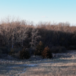 Land for Sale LandCo Farmland for Sale 2025-01-04 at 10.57.30 AM