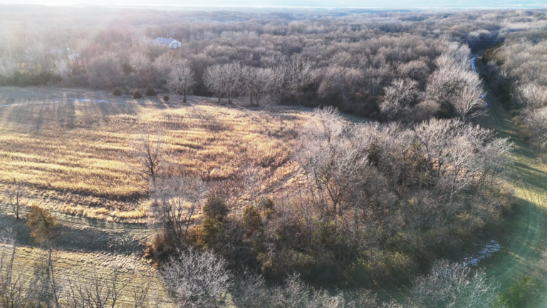 74 Acres Land for Sale in Woodford County Illinois