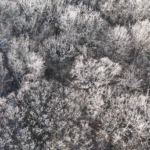 Land for Sale LandCo Farmland for Sale 2025-01-04 at 11.02.29 AM