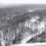 Land for Sale LandCo Farmland for Sale 2025-01-03 at 12.59.00 PM