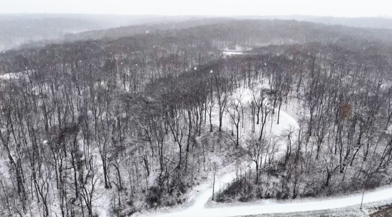 24 Acres Land for Sale in Peoria County Illinois