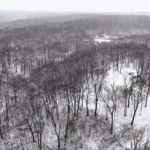 Land for Sale LandCo Farmland for Sale 2025-01-03 at 12.59.43 PM