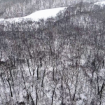 Land for Sale LandCo Farmland for Sale 2025-01-03 at 1.00.17 PM