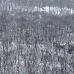 Land for Sale LandCo Farmland for Sale 2025-01-03 at 1.01.04 PM