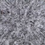 Land for Sale LandCo Farmland for Sale 2025-01-03 at 1.02.08 PM