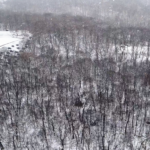 Land for Sale LandCo Farmland for Sale 2025-01-03 at 1.02.49 PM