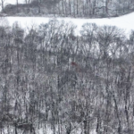 Land for Sale LandCo Farmland for Sale 2025-01-03 at 1.03.02 PM