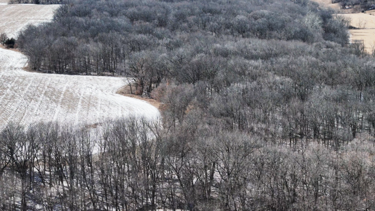 46+/- Acres Land for Sale in Fulton County Illinois