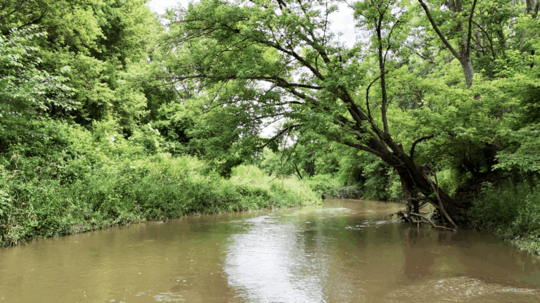 33.6 Acres Land for Sale in Knox County, IL