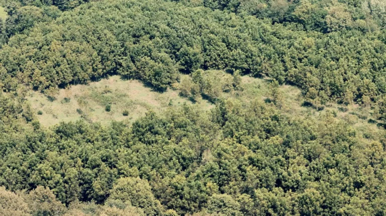 77+/- Acres for Sale in Mercer County