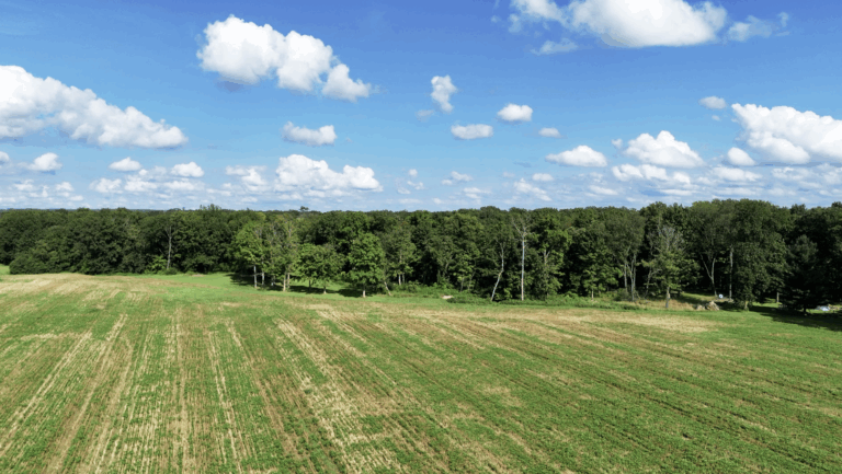 26.8 Acres for Sale in Tazewell County