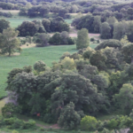 Land for Sale LandCo Farmland for Sale 2026-04-07 at 10.10.34 AM