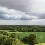 Land for Sale LandCo Farmland for Sale 2026-04-07 at 10.10.20 AM