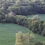Land for Sale LandCo Farmland for Sale 2026-04-07 at 10.09.46 AM