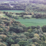 Land for Sale LandCo Farmland for Sale 2026-04-07 at 10.06.46 AM