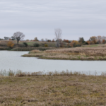 Land for Sale LandCo Farmland for Sale 2026-06-10 at 8.42.25 PM