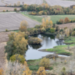 Land for Sale LandCo Farmland for Sale 2026-06-10 at 8.42.16 PM