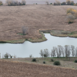 Land for Sale LandCo Farmland for Sale 2026-06-10 at 8.42.09 PM