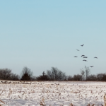 Land for Sale LandCo Farmland for Sale 2026-06-10 at 8.55.05 PM