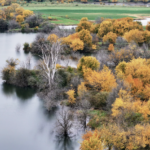 Land for Sale LandCo Farmland for Sale 2026-06-10 at 8.54.36 PM