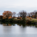 Land for Sale LandCo Farmland for Sale 2026-06-10 at 8.54.29 PM