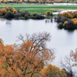 Land for Sale LandCo Farmland for Sale 2026-06-10 at 8.54.22 PM