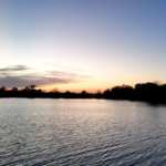 Land for Sale LandCo Farmland for Sale 2026-06-10 at 8.53.30 PM