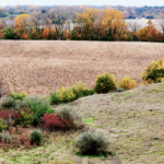 Land for Sale LandCo Farmland for Sale 2026-06-10 at 8.53.23 PM
