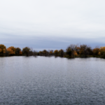 Land for Sale LandCo Farmland for Sale 2026-06-10 at 8.53.15 PM
