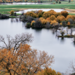 Land for Sale LandCo Farmland for Sale 2026-06-10 at 8.53.10 PM