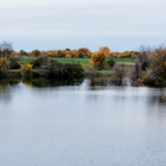 Land for Sale LandCo Farmland for Sale 2026-06-10 at 8.52.47 PM