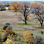Land for Sale LandCo Farmland for Sale 2026-06-10 at 8.52.32 PM