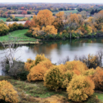Land for Sale LandCo Farmland for Sale 2026-06-10 at 8.51.54 PM